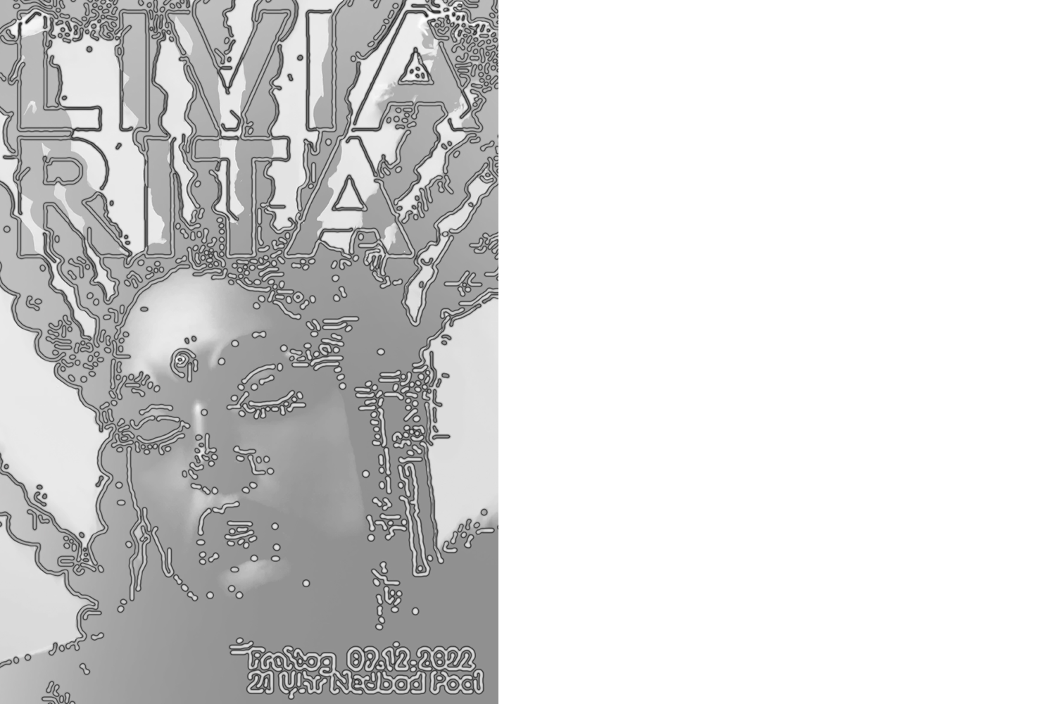 Man sieht auf dem Plakat den Kopf einer Frau mit einem schwarz-weiss abstrahierenden Filter über der Fotografie. Die Konturen sind mit Punken und Strichen umrandet. Der Titel lautet Livia Rita.