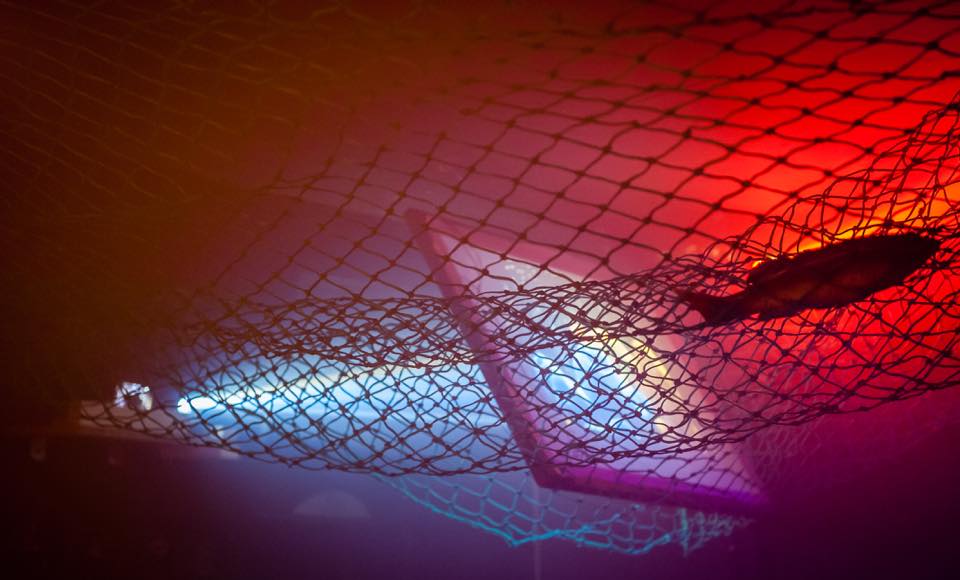 Farbfoto in Rot- und Blautönen, abstrakte Komposition. Zu sehen ist ein Fischernetz mit einem Fisch auf der rechten Seite. Im Hintergrund wahrscheinlich ein Beamer und eine Projektionsfläche.