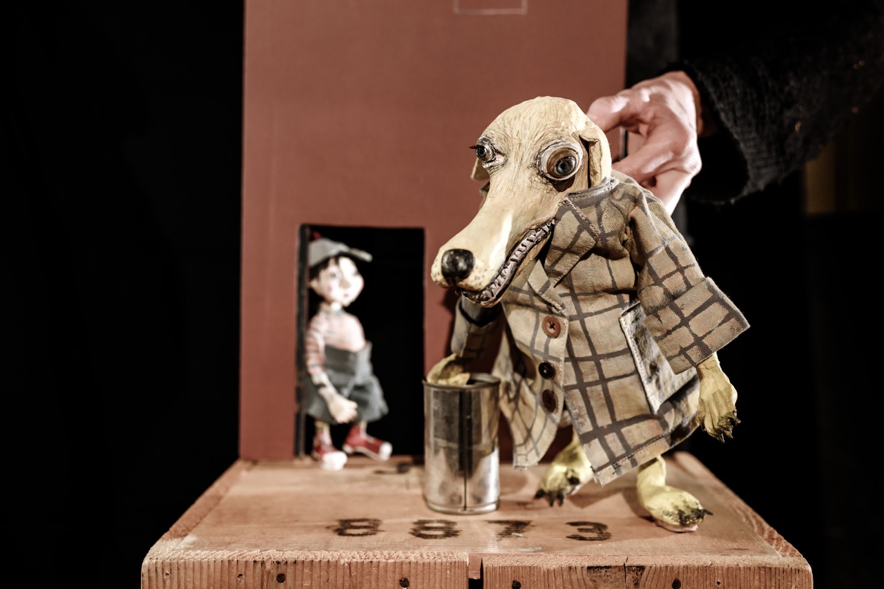 Hundefigut