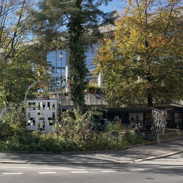 begrünter Neubad-Vorplatz mit Büschen und einem grossen Baum