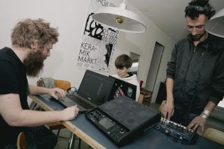 Metacarpes beim Arbeiten in der Wohnung