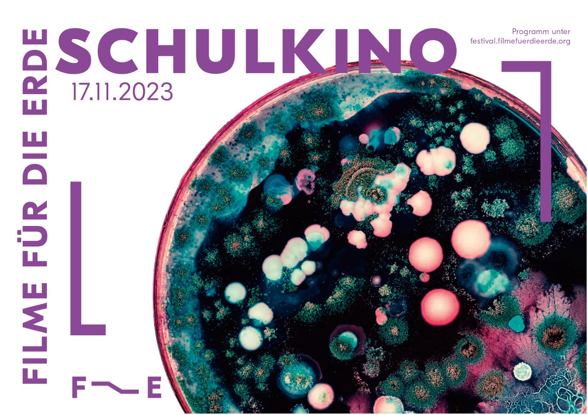 Schulkino Flyer
